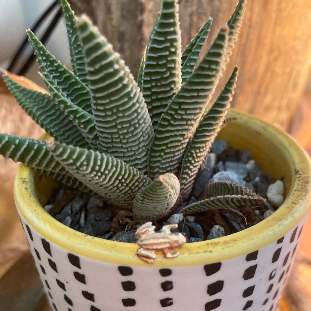 Gold Frog Stud Earring - image 5